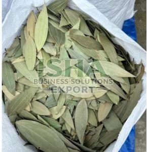 Bay Leaf