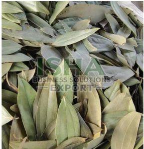 Bay Leaf