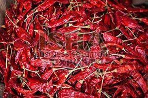 Dry Red Chilli
