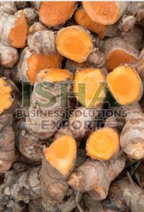 Raw Turmeric Finger