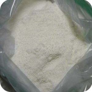Mesterolone Powder