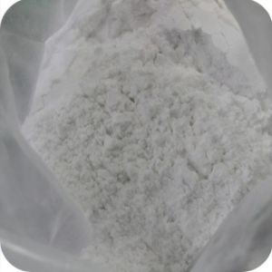 Nandrolone Decanoate Powder