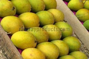 Farm Fresh Devgad Alphonso Hapus Mango