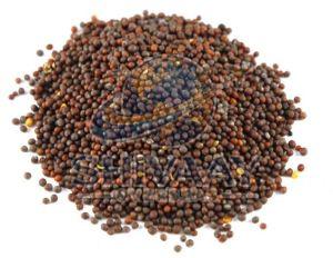 Black Mustard Seeds