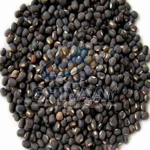 Black Urad Dal