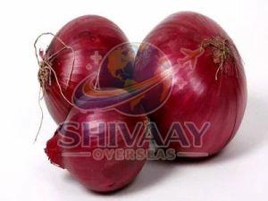Fresh Red Onion