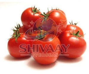 Fresh Red Tomato
