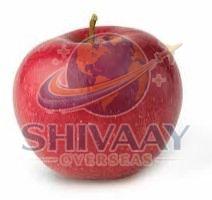 Red Delicious Apple