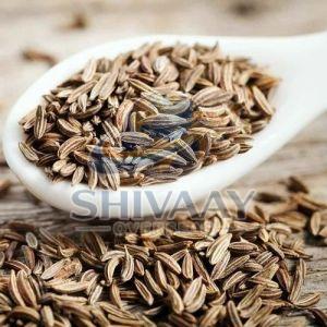 Whole Cumin Seeds