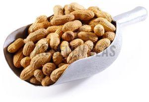 A Grade Peanuts With Shell