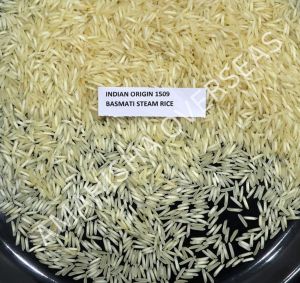 1509 Basmati Steam Rice