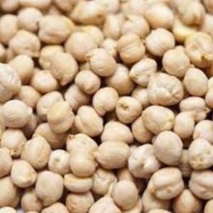Bold Kabuli Chickpeas
