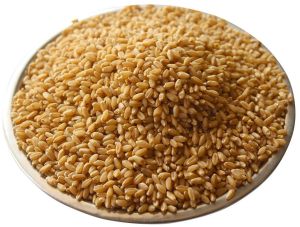 Clean Whole Wheat