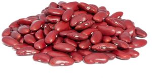 Premium Rajma Beans