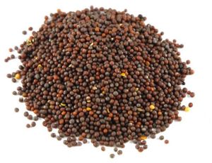 Black Mustard Seeds