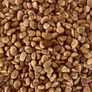 Natural Chironji Seeds