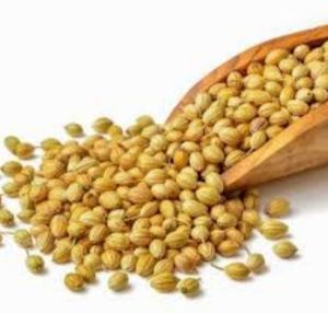 Whole Coriander Seeds