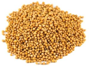 Yellow Mustard Seeds