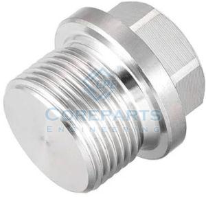 Stainless Steel Male Hex Plug