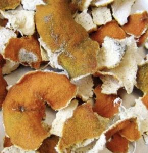 Dried Natural Orange Peel