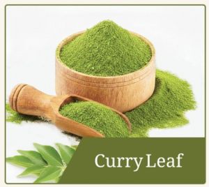 Dehydrated Curry Leaf Powder