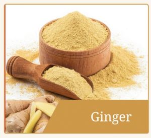 Dehydrated Ginger Powder