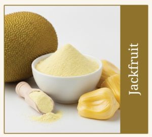 Dehydrated Jackfruit Powder