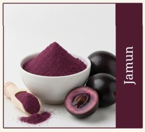 Dehydrated Jamun Powder