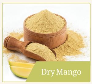 Dehydrated Mango Powder