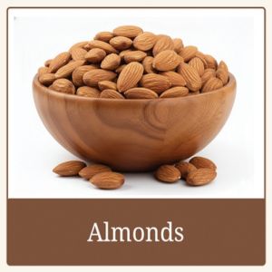 Premium Quality Almond Nuts