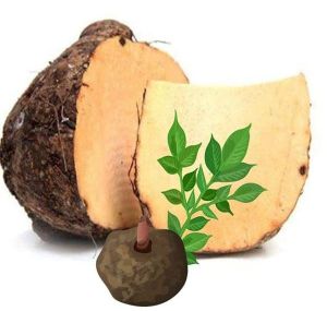 Fresh Elephant Yam