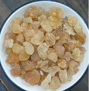 Indian Gum