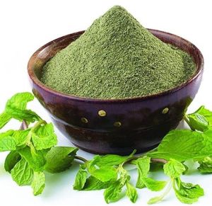 Dehydrated Mint Powder