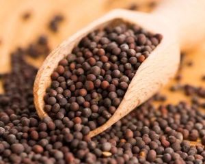 Black Mustard Seeds