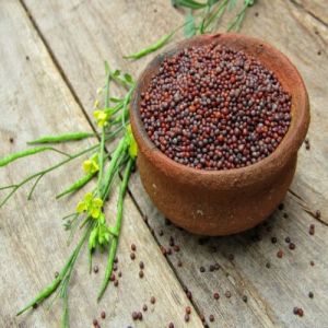 Organic Mustard Seeds