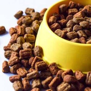 Cassia Gum Powder