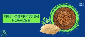 Fenugreek Gum Powder
