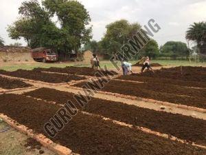 Vermicompost