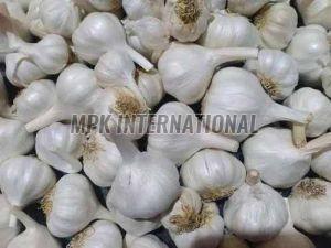 A Grade White Fresh Garlic