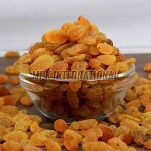 Brown Dried Grape