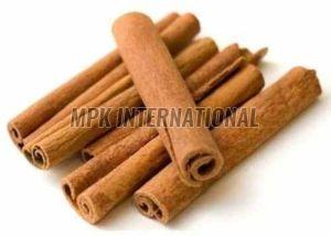 Cinnamon Cassia Pattai