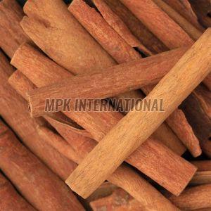 Cinnamon Surul Pattai