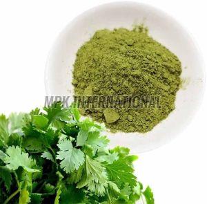 Dehydrated Coriander Powder