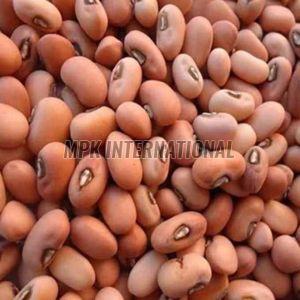Red Karamani Seed