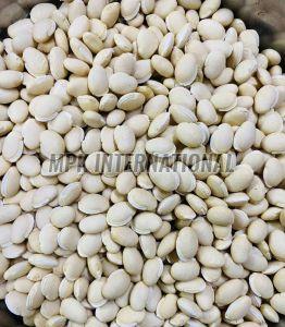 White Mochai Seed