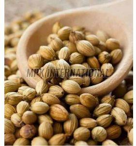 Whole Coriander Seed