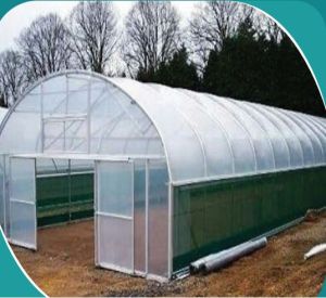 Agriclutural Poly Tunnel House