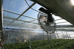 Green House Agriculture Fan
