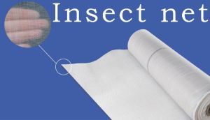 Insect Nets