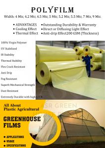 Poly Film